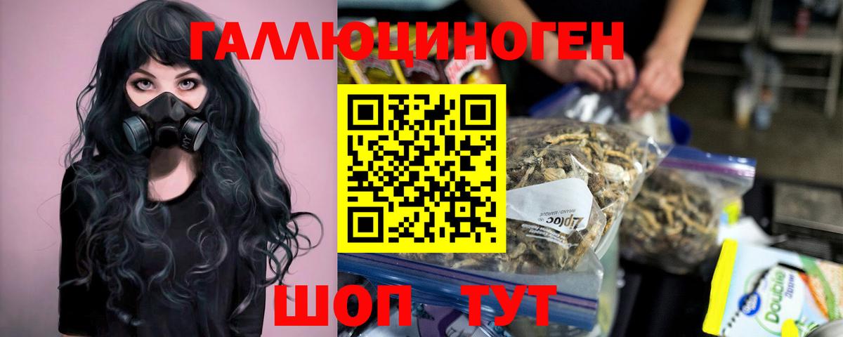 Галлюциногенные грибы Magic Shrooms Курган