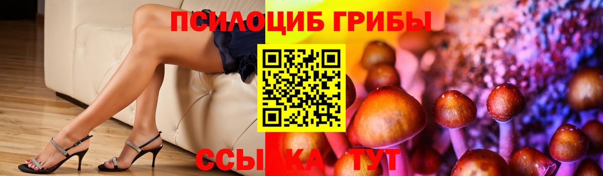 Псилоцибиновые грибы Psilocybine cubensis  Вход с VPN  Курган 